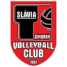Svidnik logo