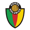 Holubice logo - Holubice VS Kladno Result