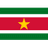 Suriname logo