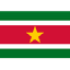 Suriname logo
