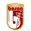Bosna logo