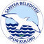 Sariyer(w) logo