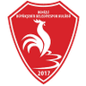 Denizli Women logo