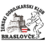 Braslovce Women logo