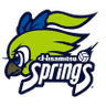 Hisamitsu Springs W logo