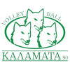 AO Kalamata logo - Kalamata VS Ofi Live Score Today