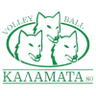 AO Kalamata logo