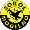 Mogilno Women logo - Radomw VS Mogilno Women Live
