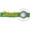 Sodertelge logo - Daugavpilsezerzeme VS Sodertelge Score Today