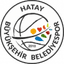 Hatay B.Sehir logo