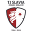 Hradec Kralove logo