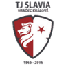 Hradec Kralove logo