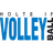 Holte logo
