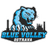 Blue Volley Ostrava logo