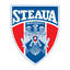 Steaua Bucuresti logo