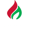 Sosnowiec Women logo