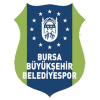 Bursa logo - Bursa VS Altekma Live Score