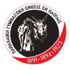 Panachaiki logo - Live Panachaiki Vs Niki Aiginio 91373