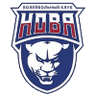 Novokuybyshevsk logo