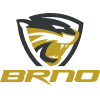 Selmy Brno Women logo - Brnow VS Vk Up Olomouc Women Score Today