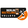 BR Volleys logo