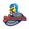 Prestige Aranmare Women logo