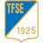 TFSE logo