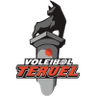 Voleibol Teruel logo