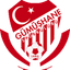 Gumushane logo
