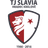 Hradec Kralove Women logo