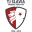 Hradec Kralove(w) logo