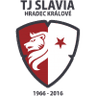Hradec Kralove(w) logo