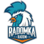 Radom(w) logo