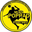 Stary Sacz W logo