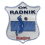Radnik logo