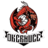Crnuce logo - Kranj VS Crnuce Sport
