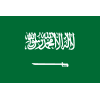 Saudi Arabia logo - Arabia VS Turkmenistan Live Score