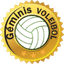 Geminis Women logo