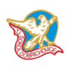 TJ Sokol Dobrichcvice logo - Beskydy VS Tj Sokol Dobrichcvice Result Today