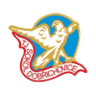 TJ Sokol Dobrichcvice logo