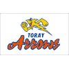 Toray Arrows Women logo - W VS Toray Arrows W Result Today