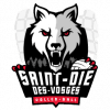 Saint Die des Vosges Women logo - W VS Saint Die Des Vosges W Result