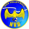 Nice logo - Nice VS Montpellier Sport