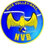 Nice logo