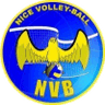 Nice logo