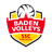 Karlsruhe II logo - Bundesliga South 10079 Live Score