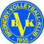 Brondby 2 W logo