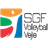 Vejle logo