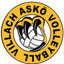 Villach W logo