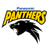 Panasonic Panthers logo - Asian Club Championship 10194 Sport